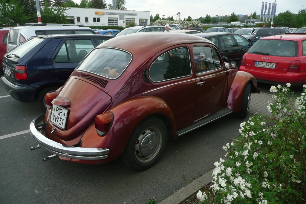 VW Käfer - Beetle