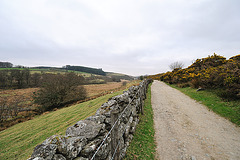 Dartmoor - 120331