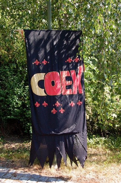 Coex =  Aranĝa entrepreno de mezepokaj festoj