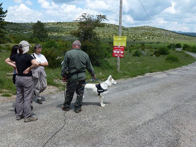 Ru Causse 2012052728 (48)