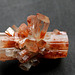 Aragonite