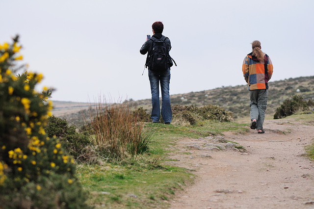 Dartmoor - 120331