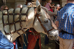 DSC 3489