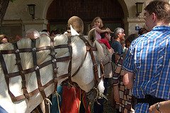 DSC 3490