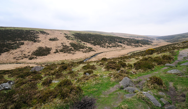 Dartmoor - 120331