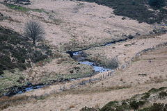 Dartmoor - 120331