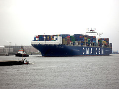 Containerschiff  CMA CGM   LIBRA