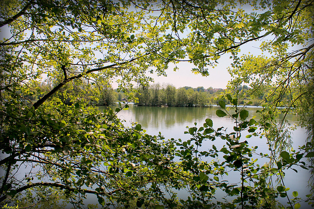 LA NATURE***