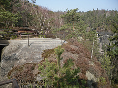 SDC12381
