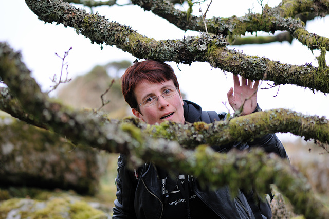 Wistmans Wood - Dartmoor - 120331