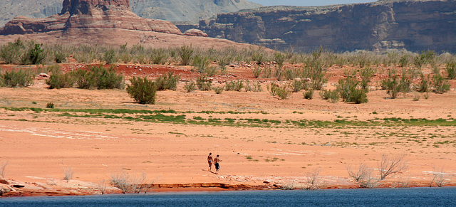 Lake Powell (4520)