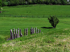 Umgebung Grabhügel Knowth