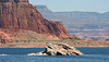 Lake Powell (4570)