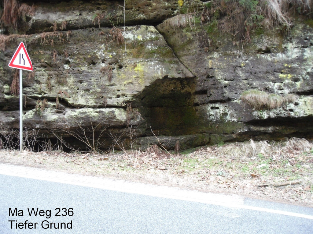 SDC12398