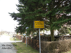 SDC12446