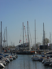 TARA à quai