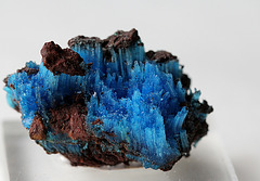 Chalcanthite