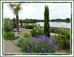 Le jardin Méditerranéen ou Clos des Vignes