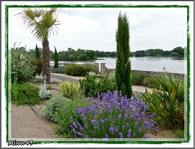 Le jardin Méditerranéen ou Clos des Vignes