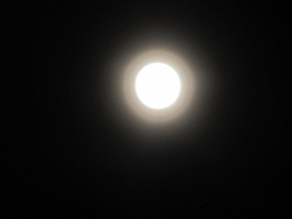 Noche de luna radiante