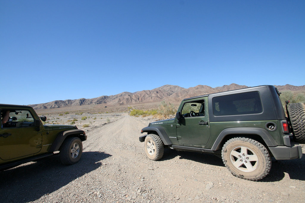 Near The Coachella Canal (3818)