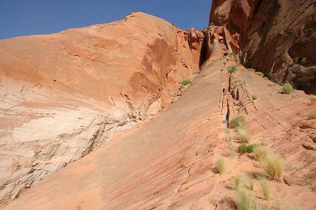 Lake Powell (4545)