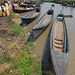 Long tail boats on the dam