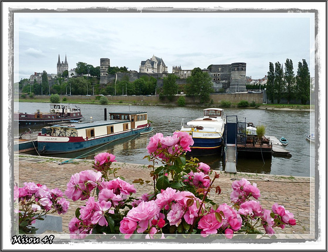 ANGERS