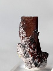 Topaze chocolat Topaze chocolat