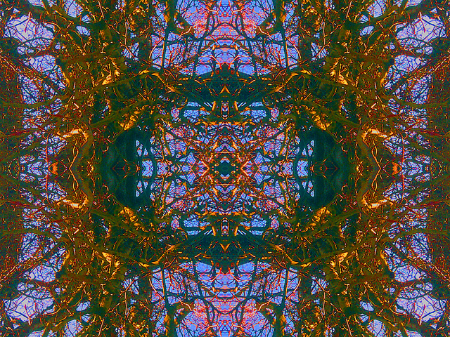 serpentine aux sorces