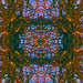 serpentine aux sorces