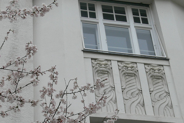 Frühling am Fenster