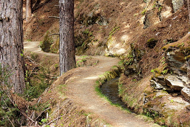 Leiten-Waalweg