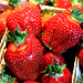 Erdbeeren - strawberry - fraise