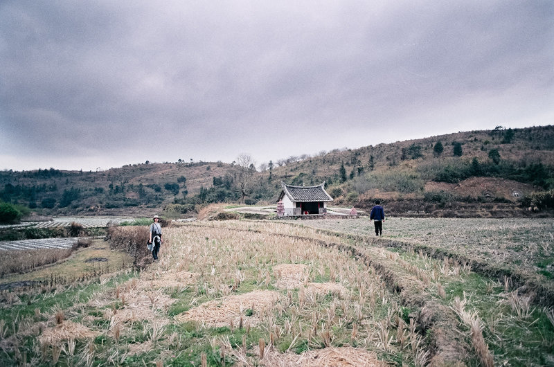 Before the Rain (Field trip)