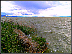 Valencia: lago de la Albufera.