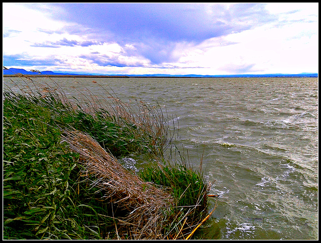 Valencia: lago de la Albufera.