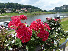 Kleine Radtour im Elbtal - 25km