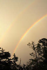 Double rainbow