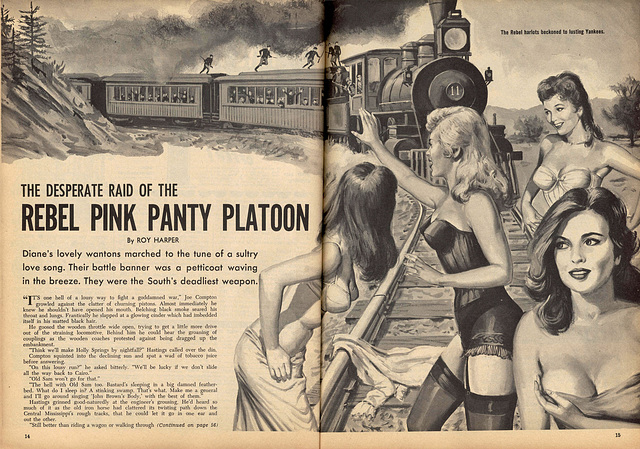 Pink_Panty_Platoon_splash