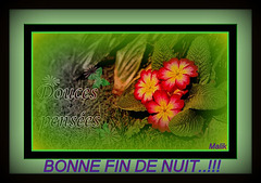 Douces-pensees