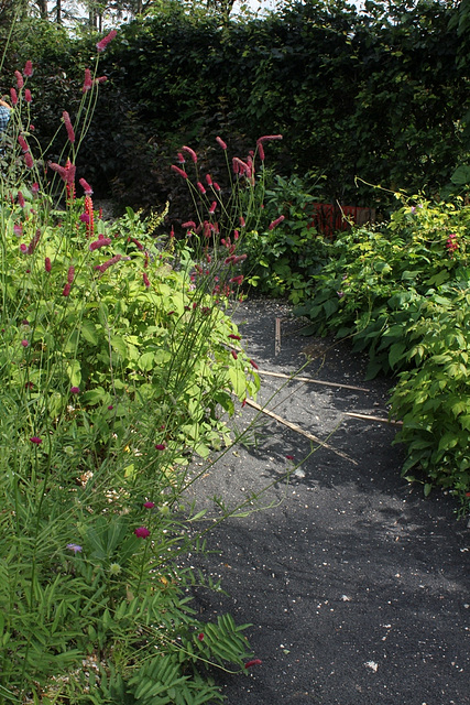 Jardin 20 - Delirium tremens
