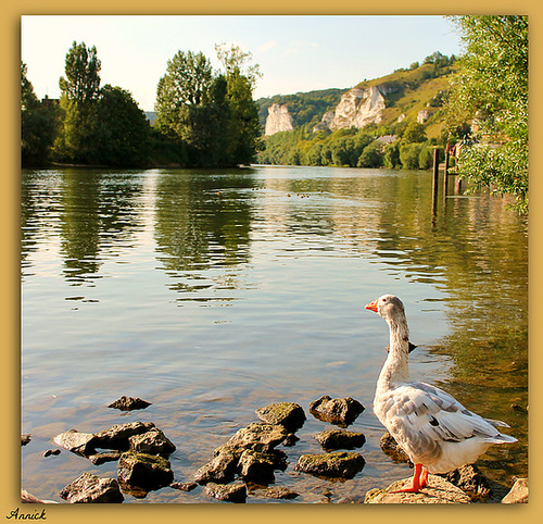 AU BORD DE LA RIVE***