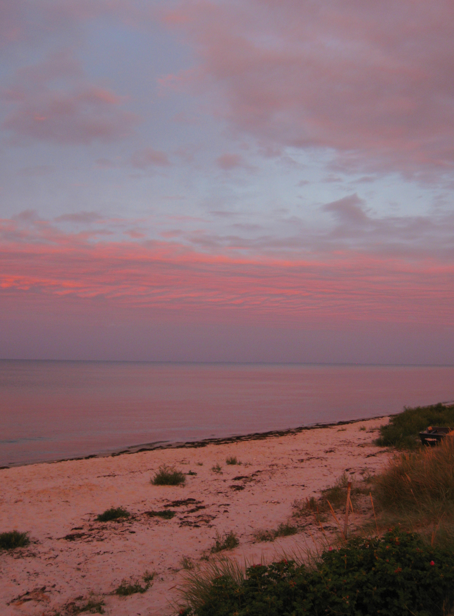 Back to Denmark II