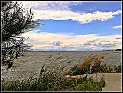 Valencia: lago de la Albufera.