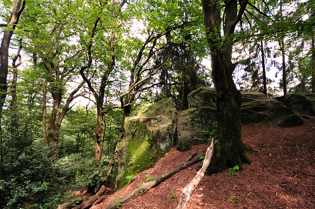 Externsteine - 120803