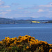 The Kessock Bridge at Inverness on a June morning