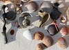 Doug's shells 2