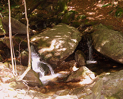 La rivière à Castans ....Montagne Noire