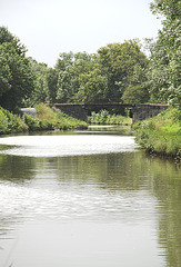 Canal latéral à la Loire vers Cuffy